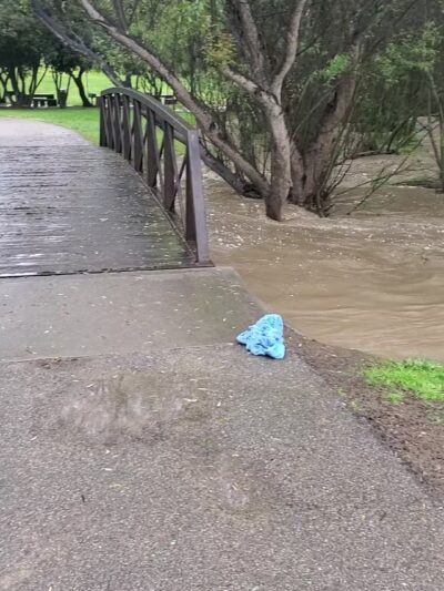 Jody Giannini Family Dog Park - Morro Bay, CA