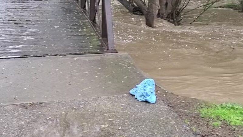 Jody Giannini Family Dog Park - Morro Bay, CA