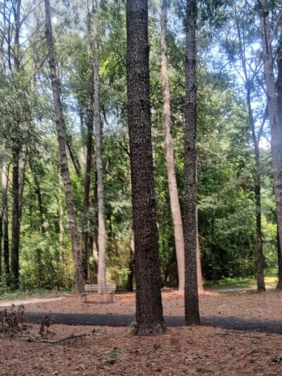 City of Morrow Park - Morrow, GA