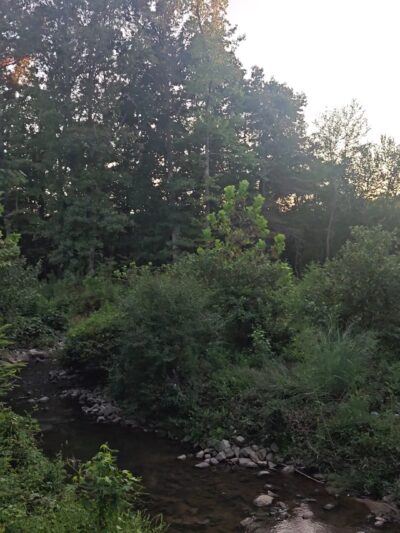 Jesters Creek Trail - Morrow, GA