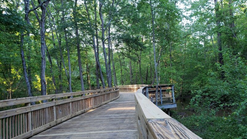 Jesters Creek Trail - Morrow, GA