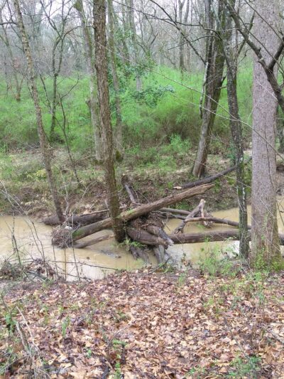 Jesters Creek Trail - Morrow, GA