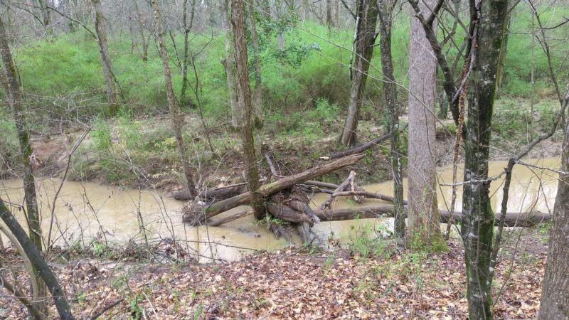 Jesters Creek Trail - Morrow, GA