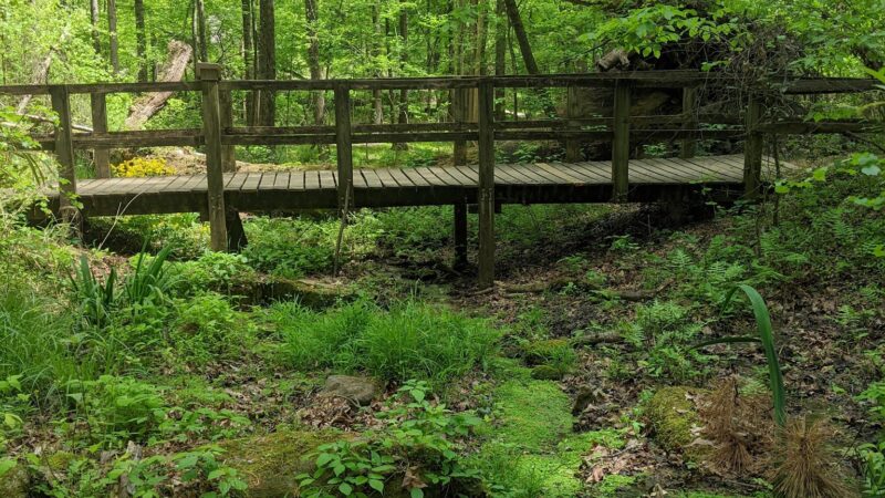 Reynolds Nature Preserve - Morrow, GA