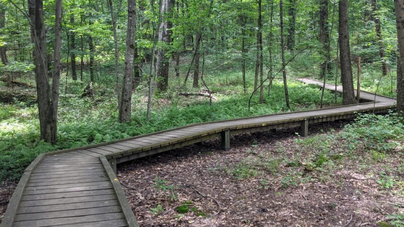 Reynolds Nature Preserve - Morrow, GA