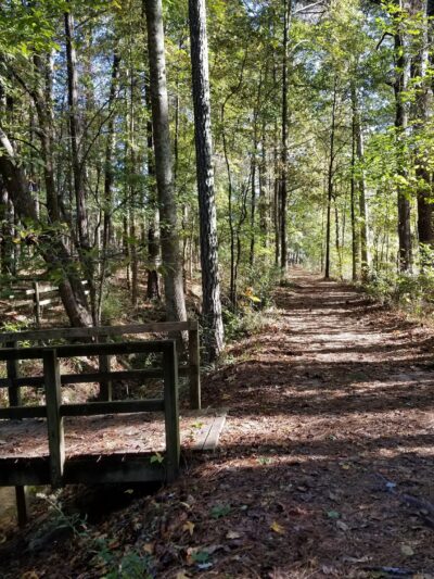 Reynolds Nature Preserve - Morrow, GA