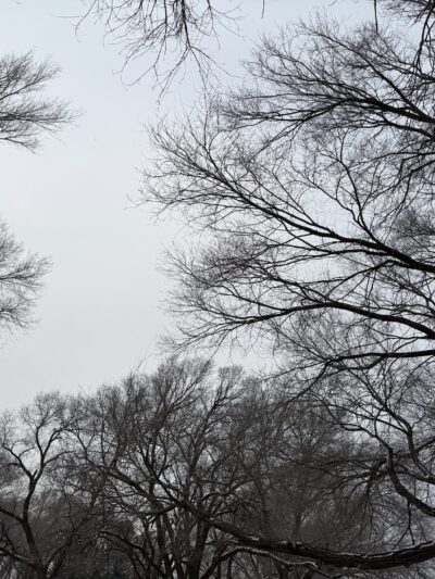 Cochran County Park - Morton, TX
