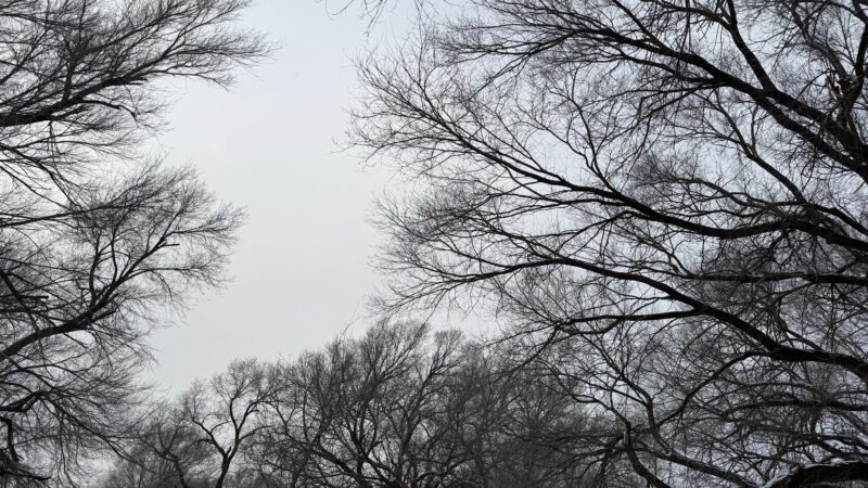 Cochran County Park - Morton, TX