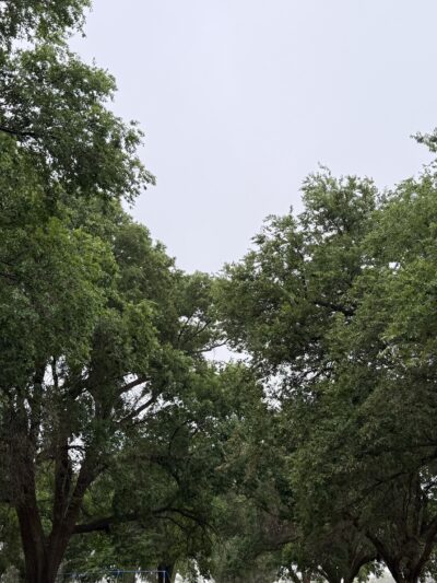 Cochran County Park - Morton, TX