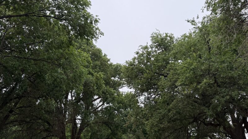 Cochran County Park - Morton, TX