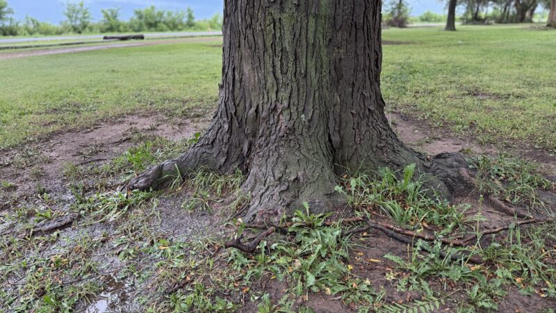 Cochran County Park - Morton, TX