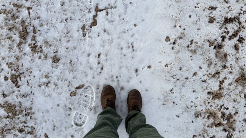 Cochran County Park - Morton, TX