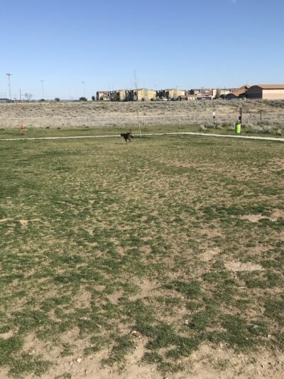 Basin Homes Dog Park - Moses Lake, WA