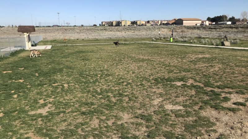 Basin Homes Dog Park - Moses Lake, WA