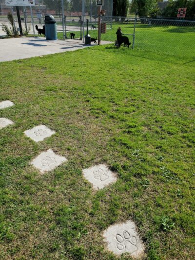 Motley Pet Stop & Rec Area - Motley, MN