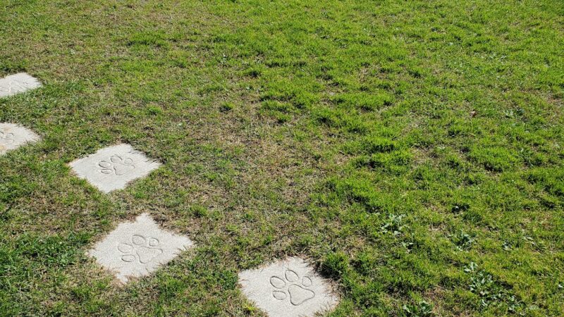 Motley Pet Stop & Rec Area - Motley, MN