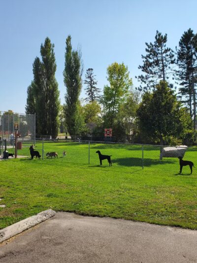Motley Pet Stop & Rec Area - Motley, MN