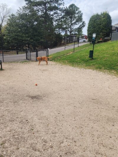 Retreat Dog Park - Mountain Brook, AL