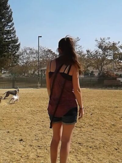 City of Mountain View Dog Park - Mountain View, CA