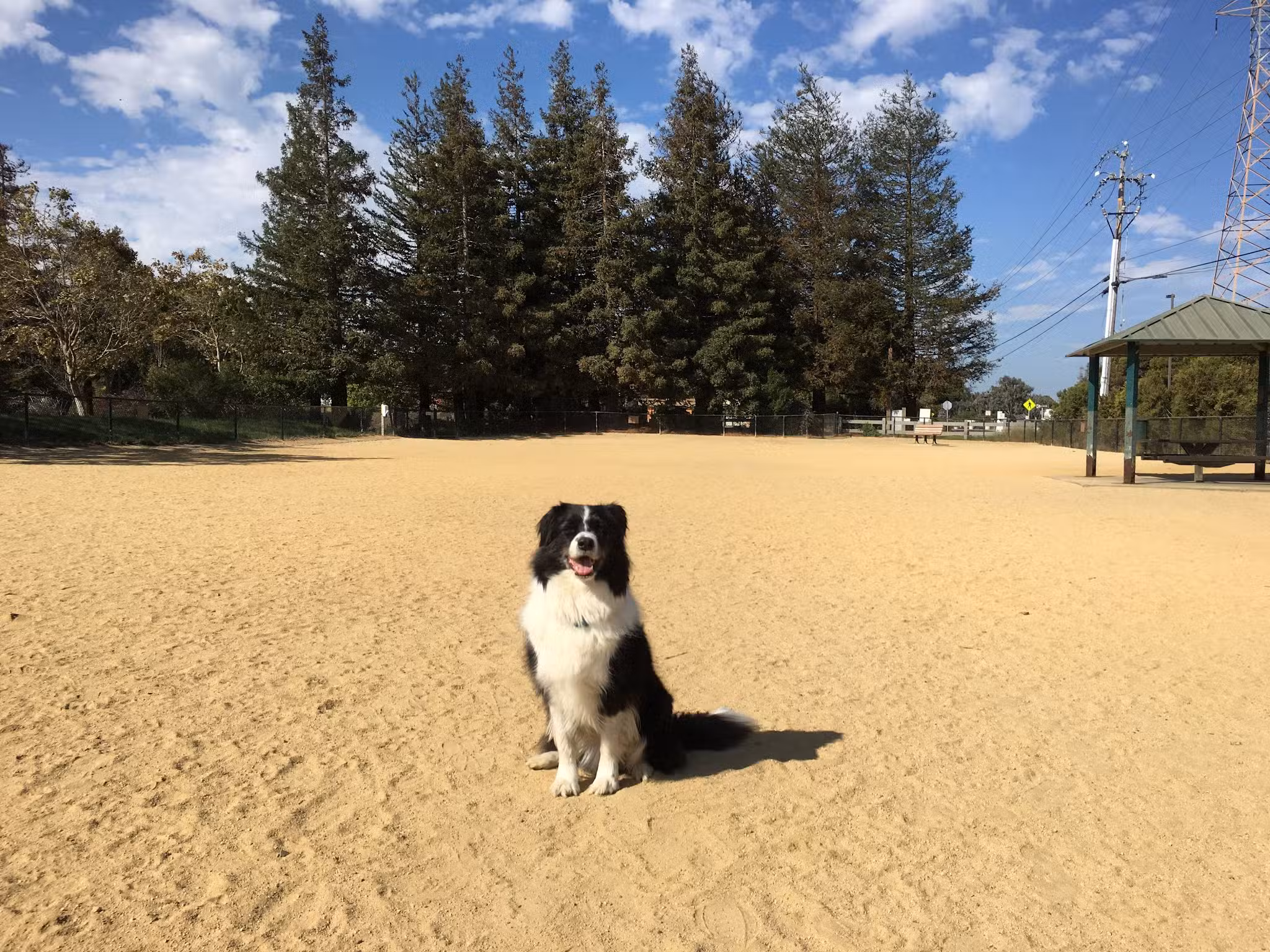 City of Mountain View Dog Park - Mountain View, CA