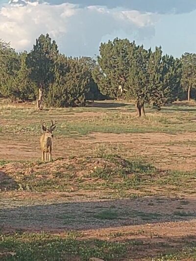 Manzano Mountains State Park - Mountainair, NM