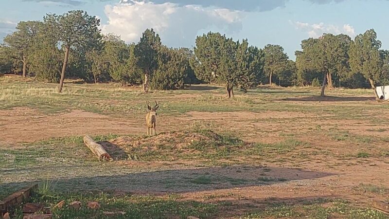 Manzano Mountains State Park - Mountainair, NM