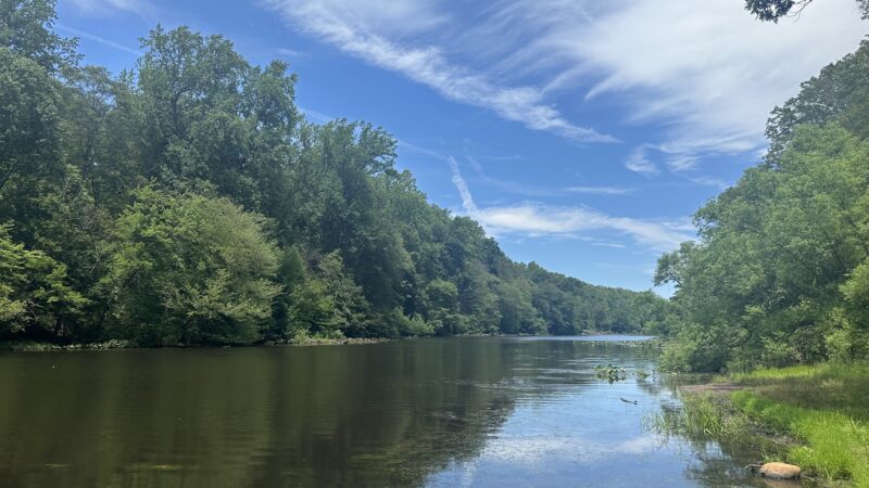 Watchung Reservation - Mountainside, NJ