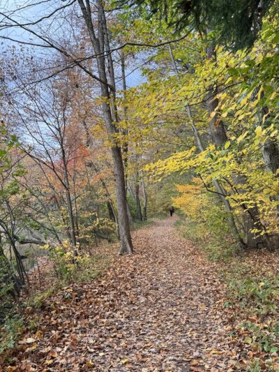 Watchung Reservation - Mountainside, NJ