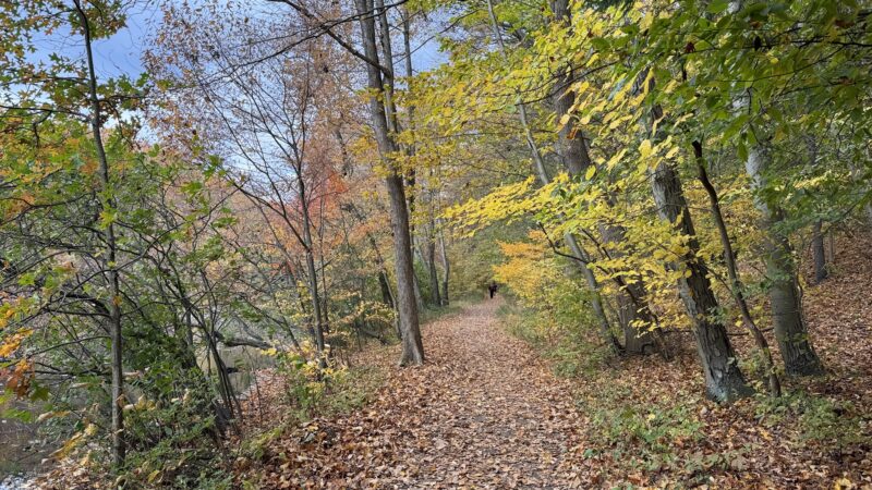 Watchung Reservation - Mountainside, NJ