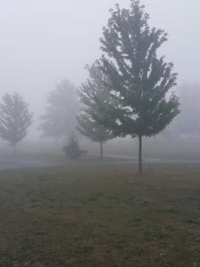 North Park - Moweaqua, IL