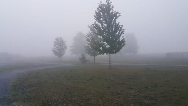 North Park - Moweaqua, IL