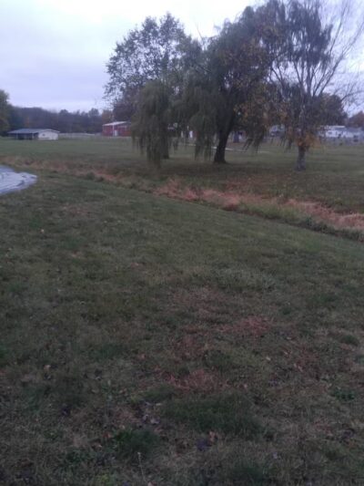 North Park - Moweaqua, IL