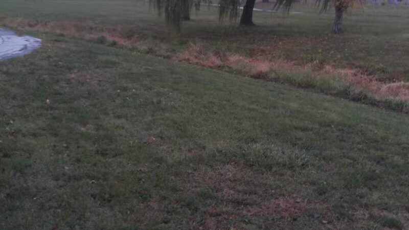 North Park - Moweaqua, IL