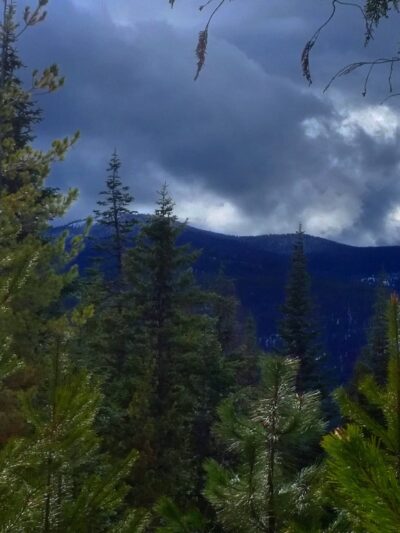 Moyie Springs - Moyie Springs, ID