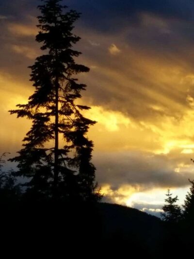 Moyie Springs - Moyie Springs, ID
