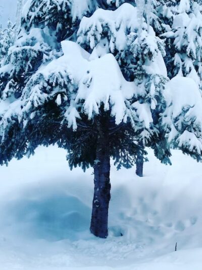 Moyie Springs - Moyie Springs, ID