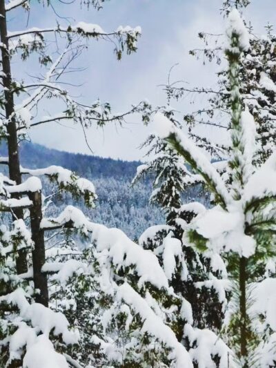 Moyie Springs - Moyie Springs, ID