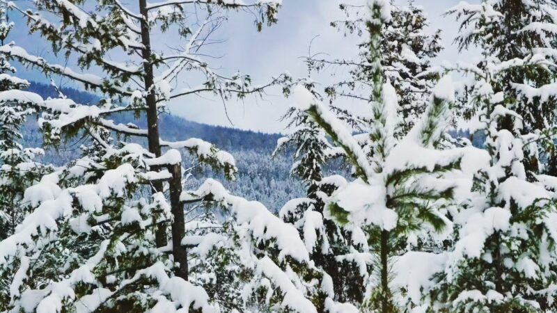 Moyie Springs - Moyie Springs, ID