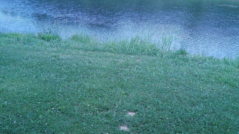 Froman Park - Mt Carmel, IL