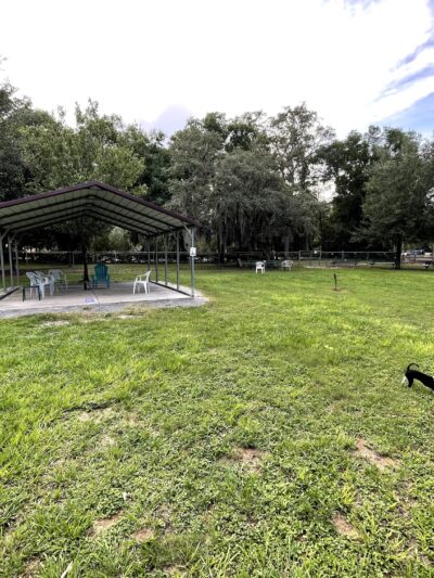 Mt Dora Dog Park - Mt Dora, FL