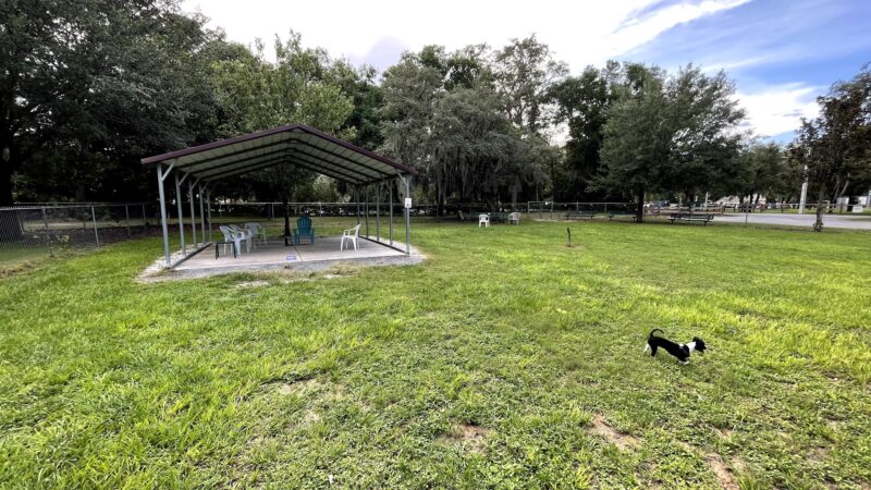 Mt Dora Dog Park - Mt Dora, FL