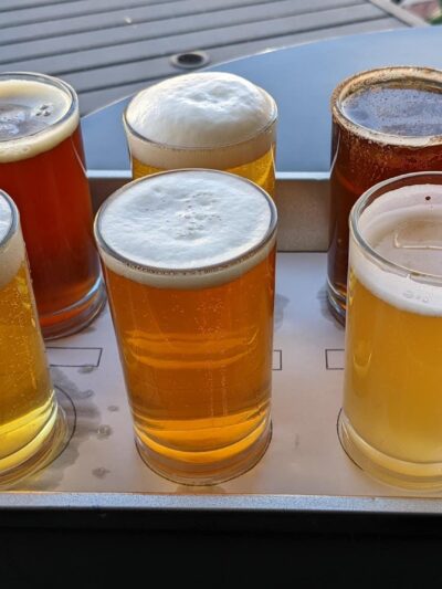 Village Idiot Brewing Company - Mt Holly, NJ
