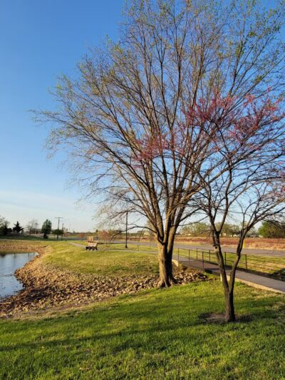 Mount Hope Pond - Mt Hope, KS
