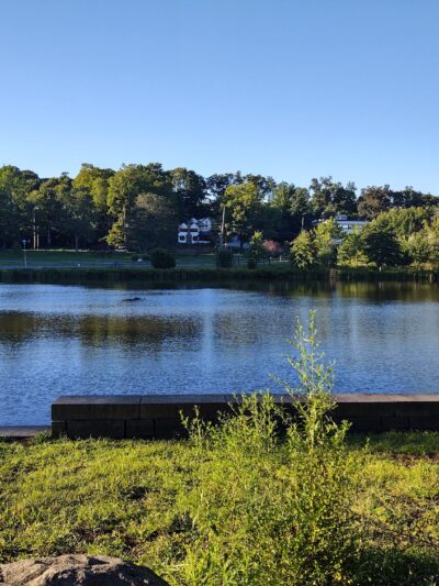 Leonard Park - Mt Kisco, NY