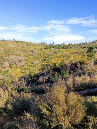 Storm Canyon Vista Trailhead - Mt Laguna, CA