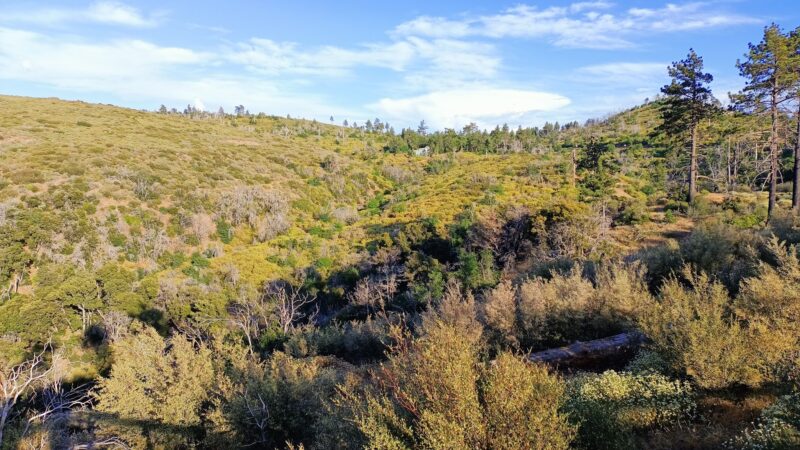Storm Canyon Vista Trailhead - Mt Laguna, CA