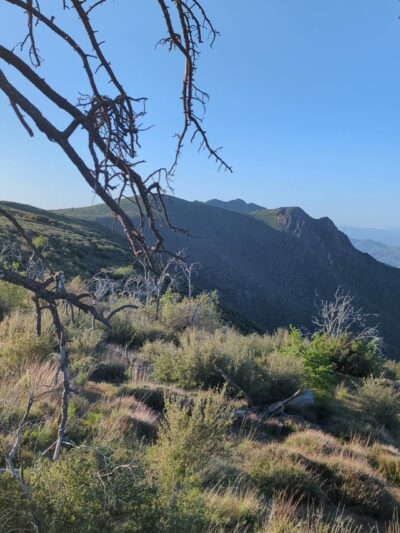 Storm Canyon Vista Trailhead - Mt Laguna, CA