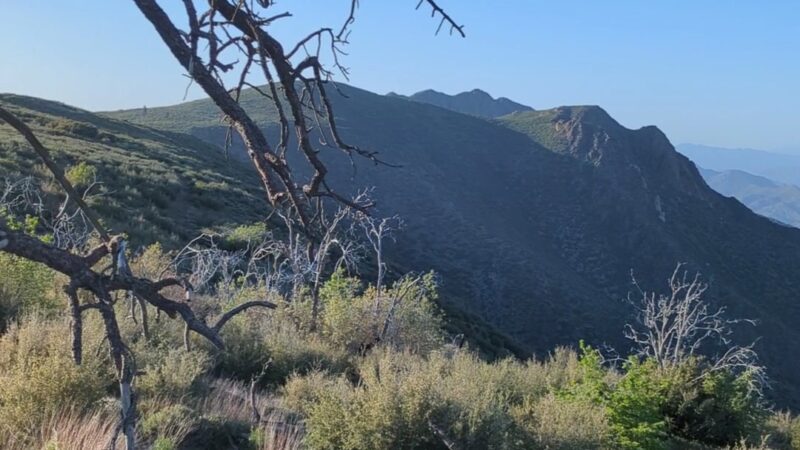 Storm Canyon Vista Trailhead - Mt Laguna, CA