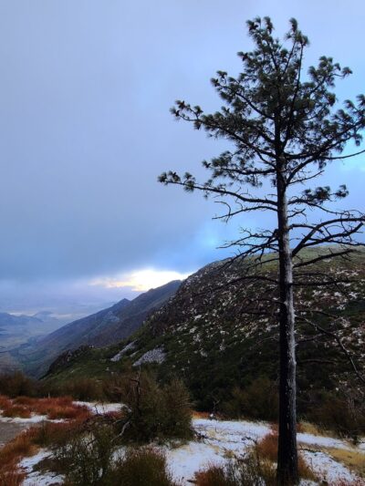 Storm Canyon Vista Trailhead - Mt Laguna, CA