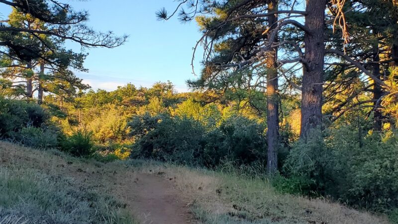 Desert View Trail - Mt Laguna, CA